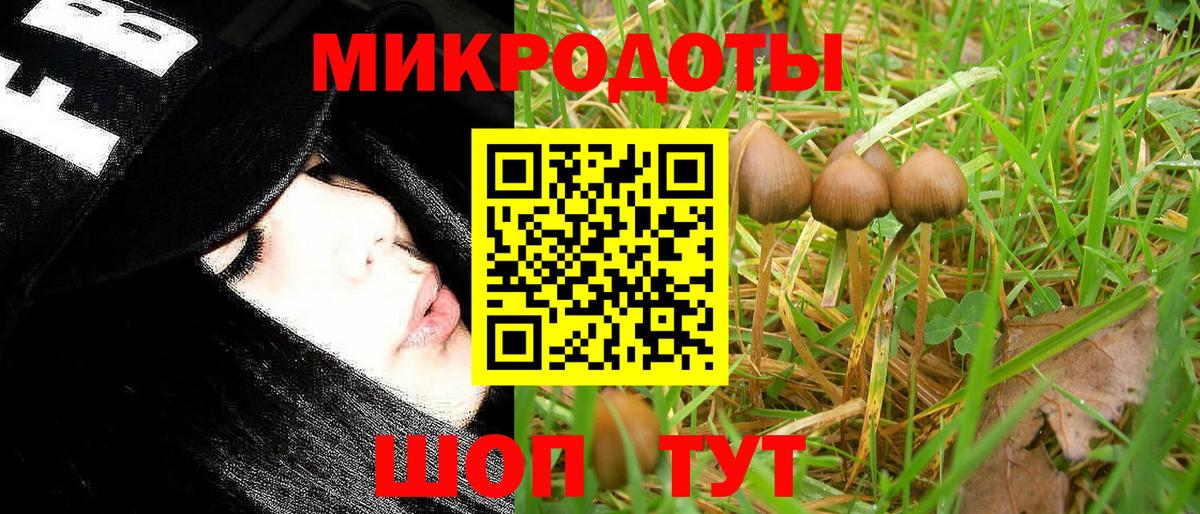 Псилоцибиновые грибы ЛСД  Вход с VPN  Малоярославец 